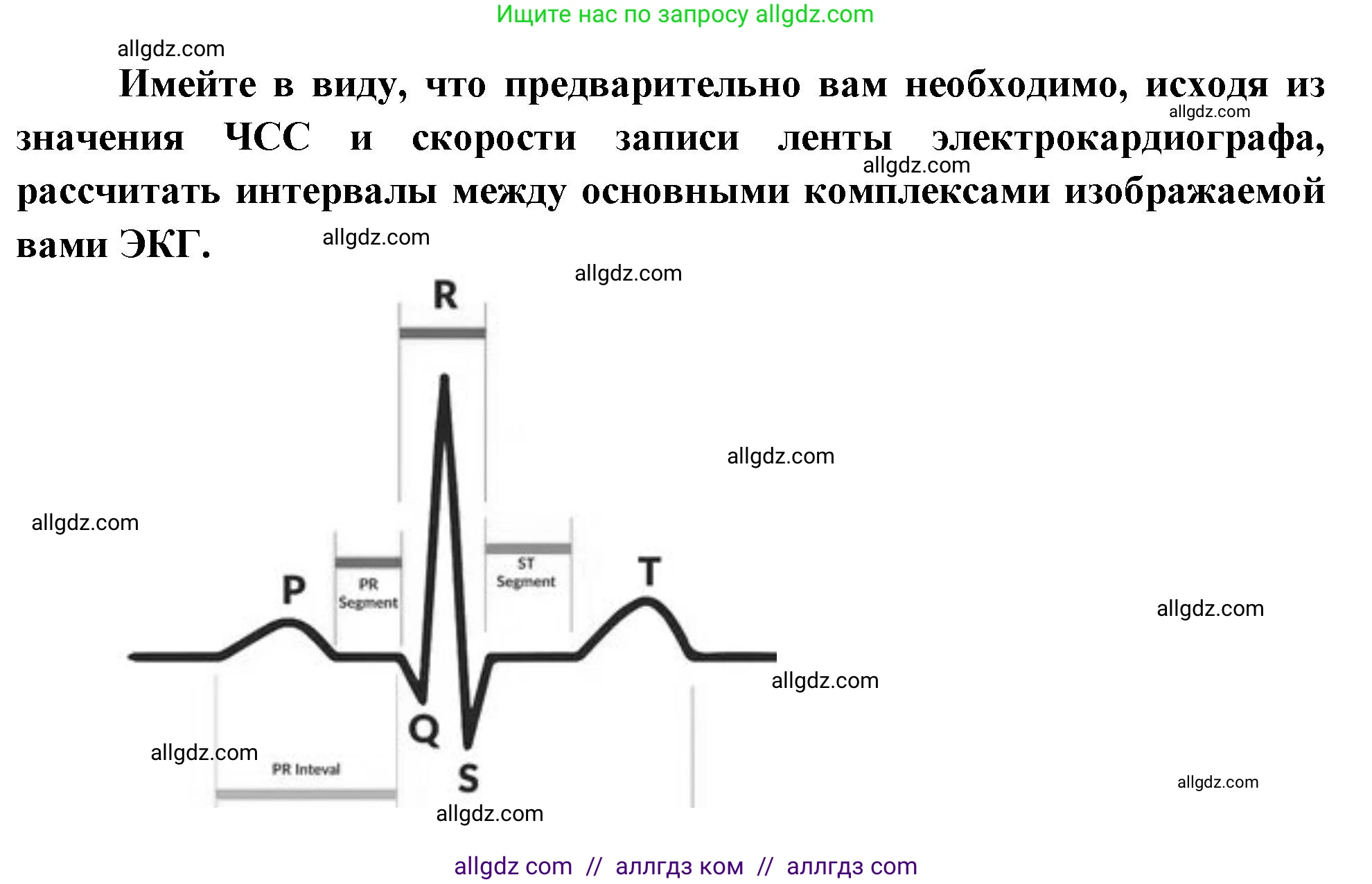 Биология, 9 класс Учебник, авторы: Пасечник Владимир Васильевич, Каменский Андрей Александрович, Швецов Глеб Геннадьевич, Гапонюк Зоя Георгиевна, издательство Просвещение, Москва, 2023, белого цвета, страница 115, Решение (продолжение 2)