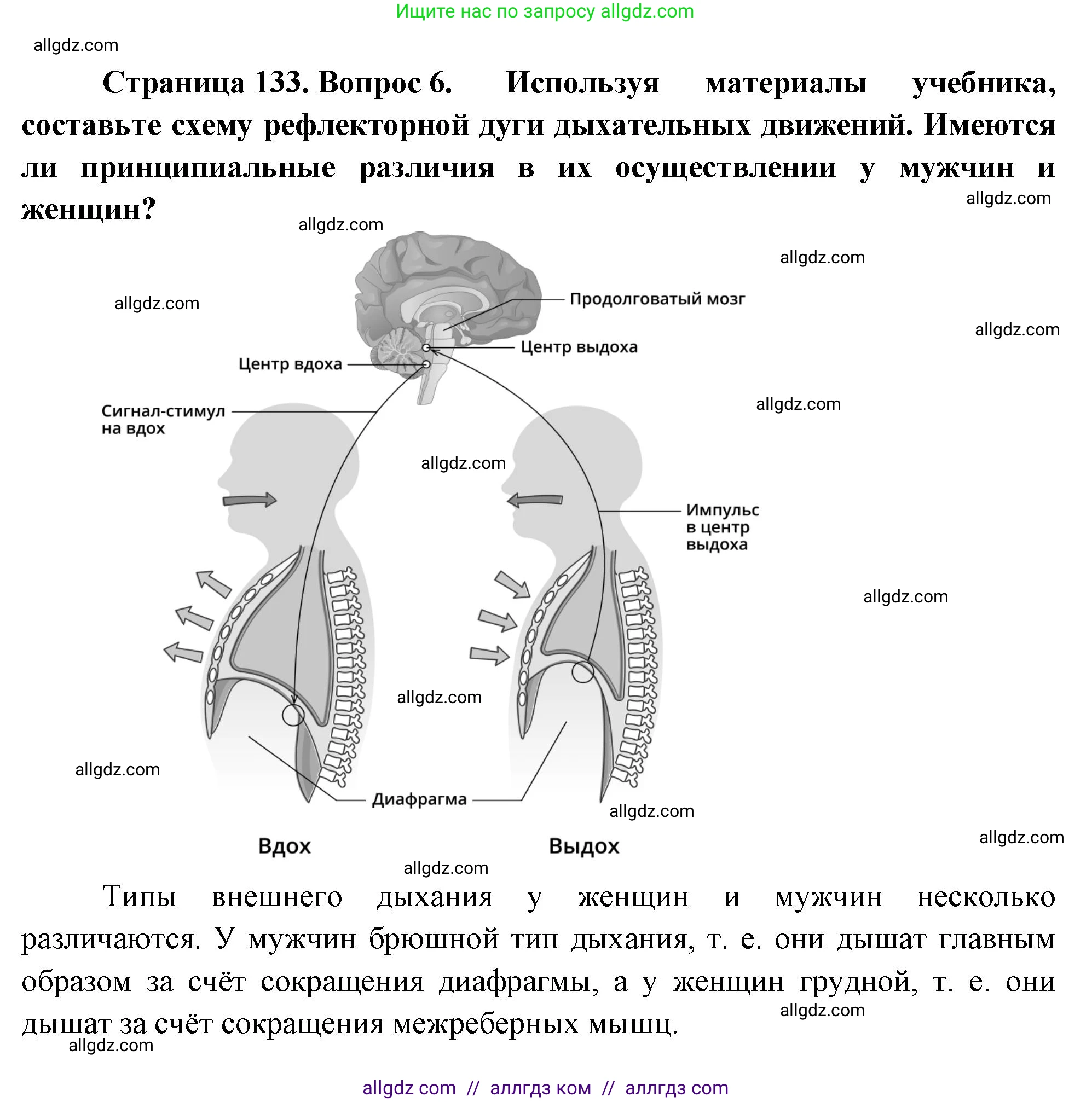 Биология, 9 класс Учебник, авторы: Пасечник Владимир Васильевич, Каменский Андрей Александрович, Швецов Глеб Геннадьевич, Гапонюк Зоя Георгиевна, издательство Просвещение, Москва, 2023, белого цвета, страница 133, номер 6, Решение