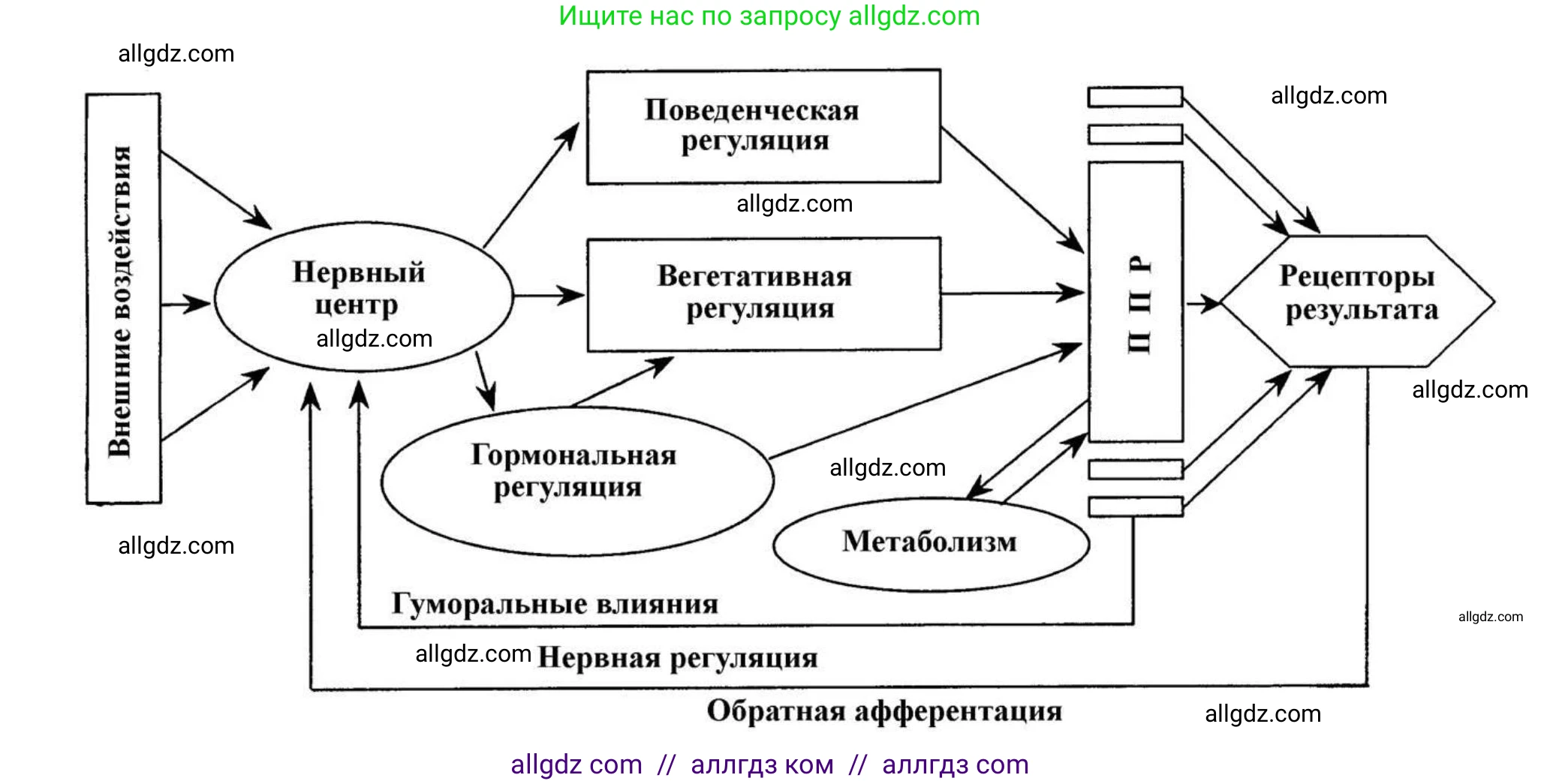 Биология, 9 класс Учебник, авторы: Пасечник Владимир Васильевич, Каменский Андрей Александрович, Швецов Глеб Геннадьевич, Гапонюк Зоя Георгиевна, издательство Просвещение, Москва, 2023, белого цвета, страница 237, номер 2, Решение (продолжение 2)