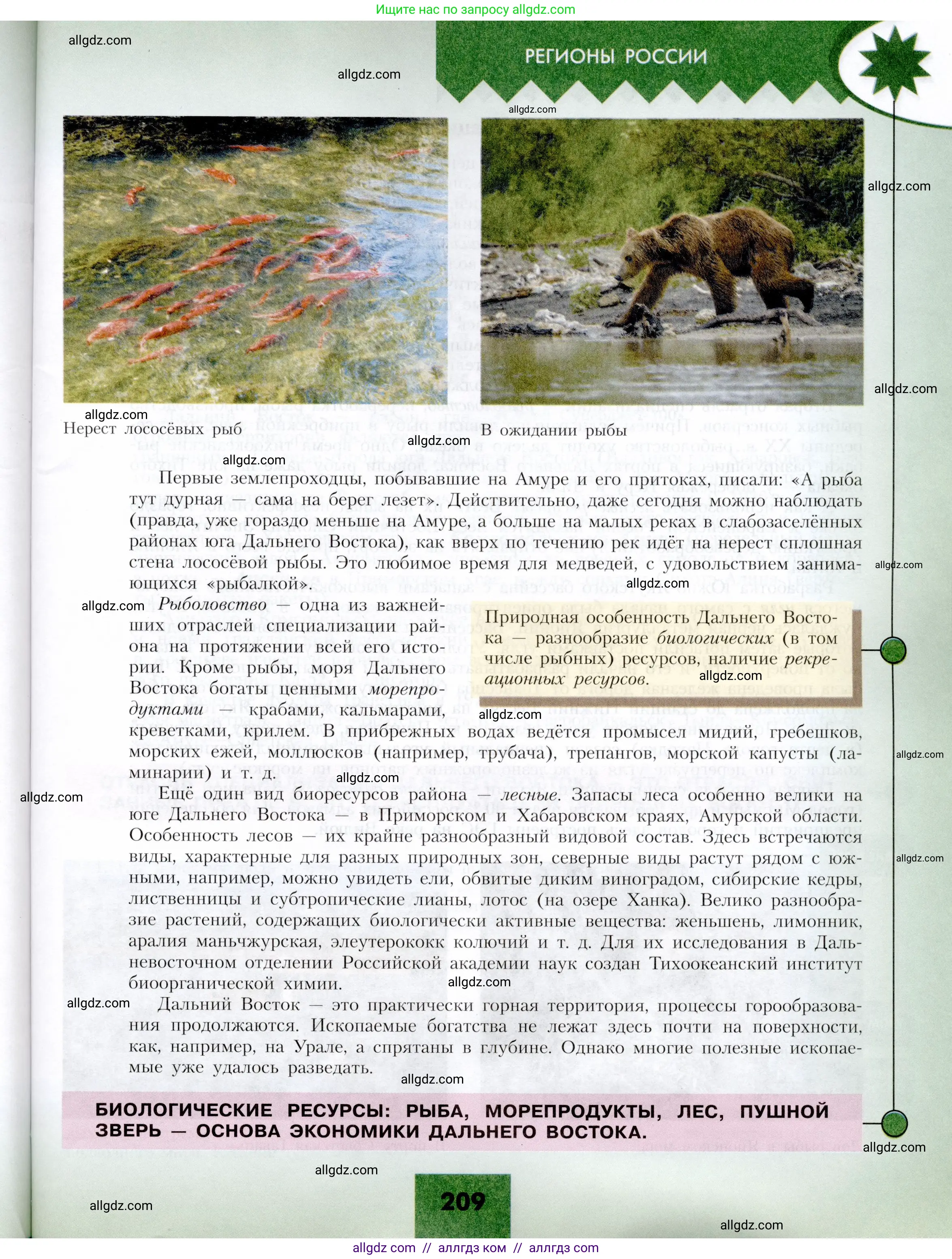 География, 9 класс Учебник, авторы: Алексеев Александр Иванович, Николина Вера Викторовна, Липкина Елена Карловна, Болысов Сергей Иванович, Кузнецова Галина Юрьевна, издательство Просвещение, Москва, 2023, жёлтого цвета, страница 209