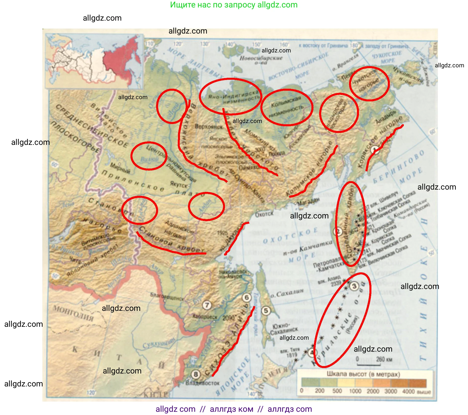 География, 9 класс Учебник, авторы: Алексеев Александр Иванович, Николина Вера Викторовна, Липкина Елена Карловна, Болысов Сергей Иванович, Кузнецова Галина Юрьевна, издательство Просвещение, Москва, 2023, жёлтого цвета, страница 203, номер 1, Решение (продолжение 2)