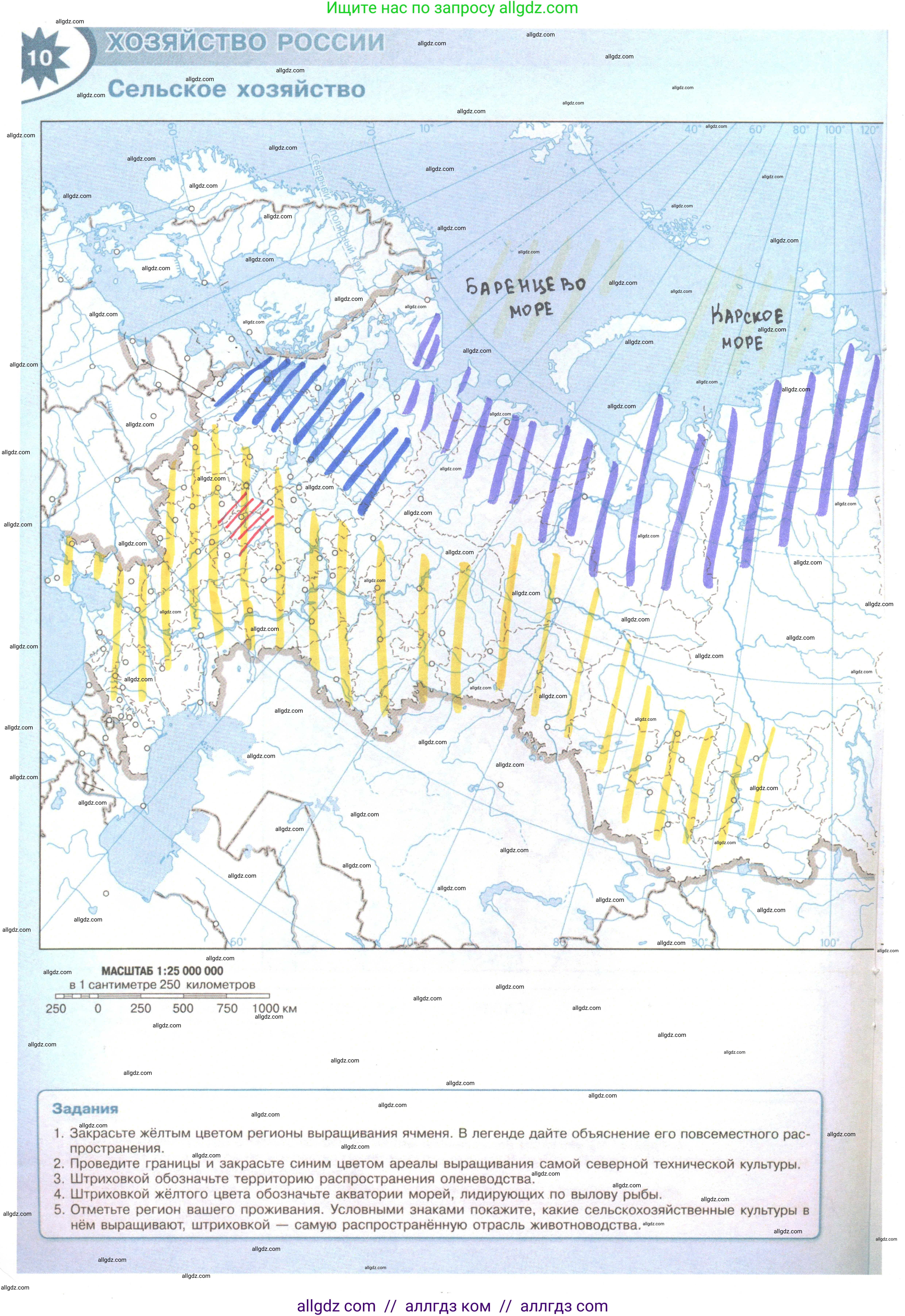 География, 9 класс Контурные карты, автор: Матвеев Алексей Владимирович, издательство Просвещение, Москва, 2024, жёлтого цвета, страница 10, Решение