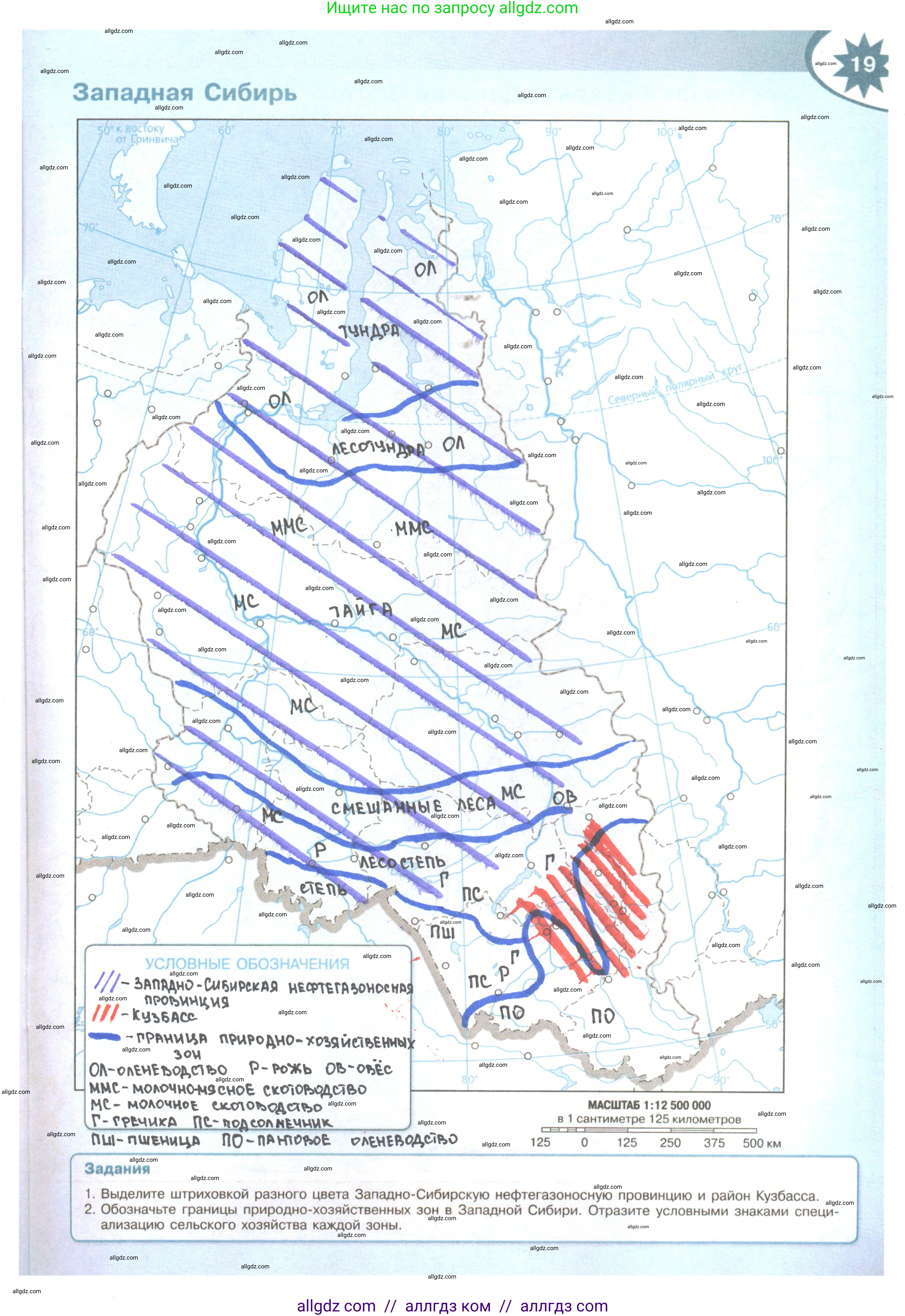 География, 9 класс Контурные карты, автор: Матвеев Алексей Владимирович, издательство Просвещение, Москва, 2024, жёлтого цвета, страница 19, Решение