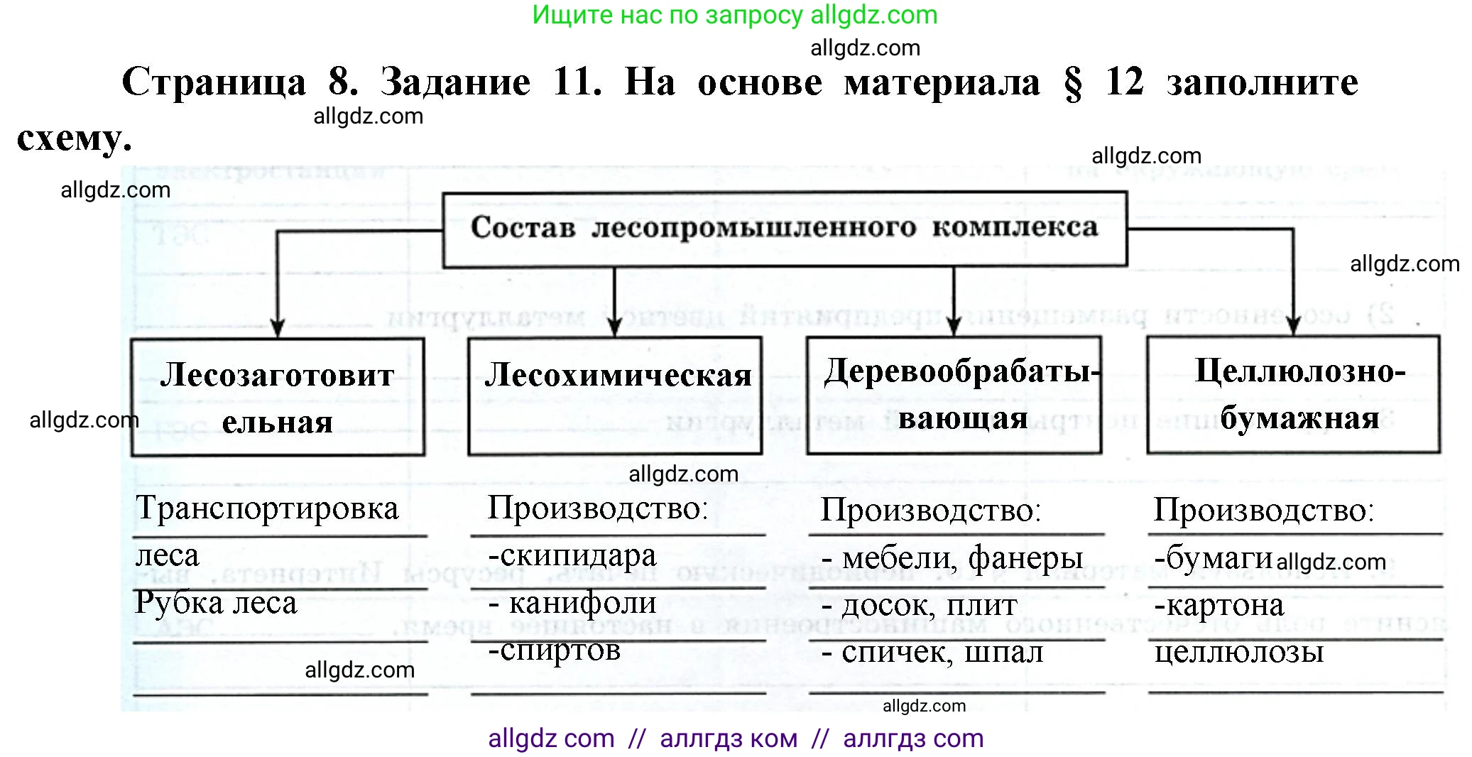 География, 9 класс Мой тренажёр, автор: Николина Вера Викторовна, издательство Просвещение, Москва, 2023, жёлтого цвета, страница 8, номер 11, Решение