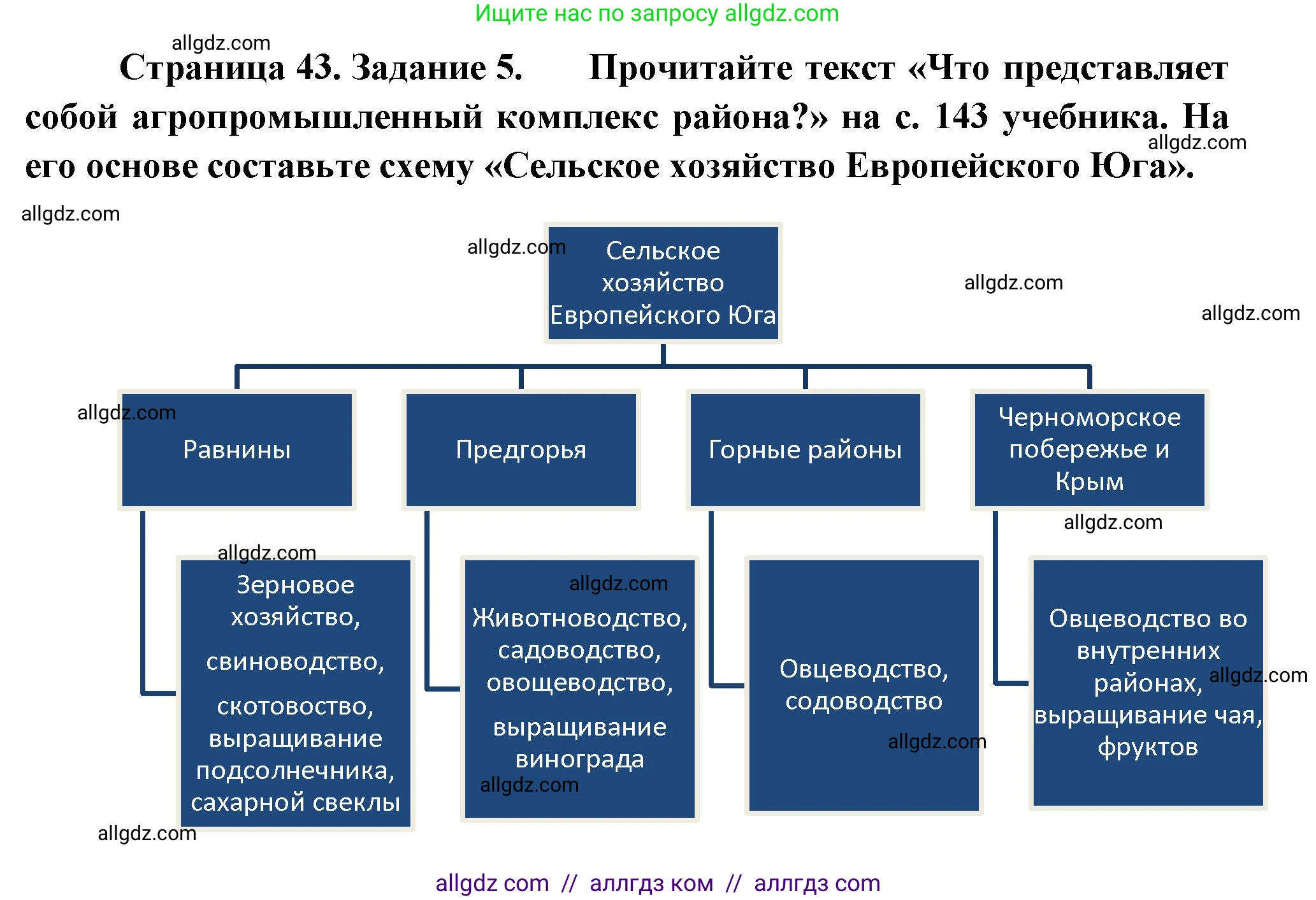 География, 9 класс Мой тренажёр, автор: Николина Вера Викторовна, издательство Просвещение, Москва, 2023, жёлтого цвета, страница 43, номер 5, Решение