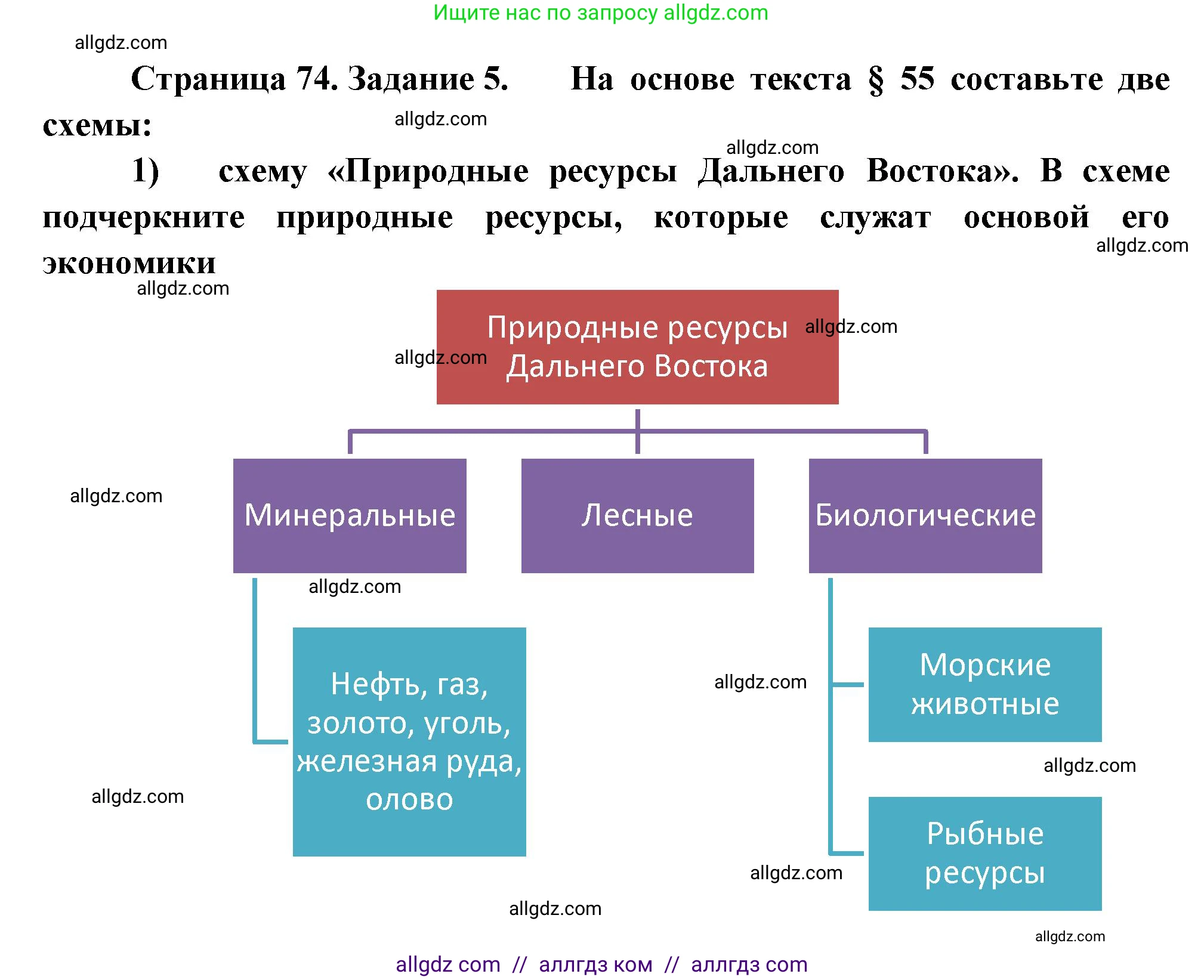География, 9 класс Мой тренажёр, автор: Николина Вера Викторовна, издательство Просвещение, Москва, 2023, жёлтого цвета, страница 74, номер 5, Решение