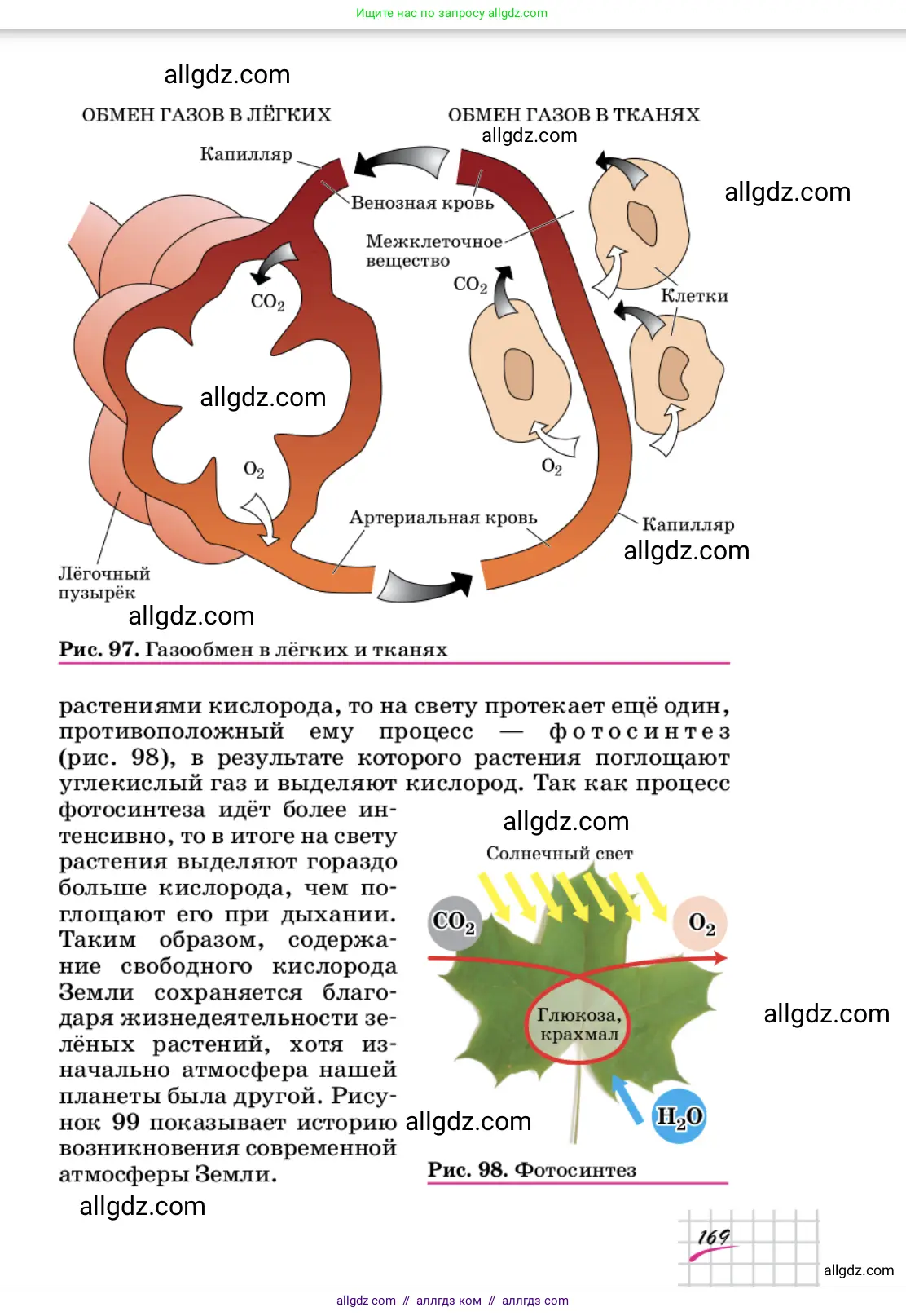Химия, 9 класс Учебник, автор: Габриелян Олег Саргисович, издательство Просвещение, Москва, 2020, белого цвета, страница 169