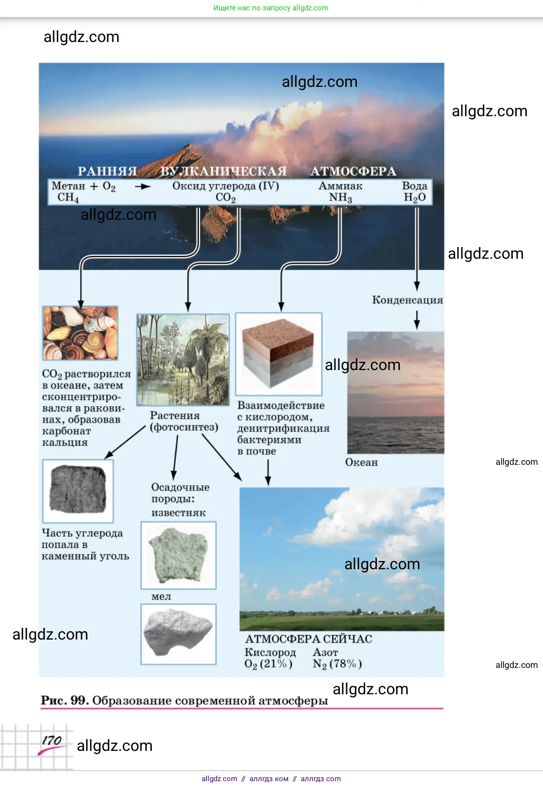 Химия, 9 класс Учебник, автор: Габриелян Олег Саргисович, издательство Просвещение, Москва, 2020, белого цвета, страница 170