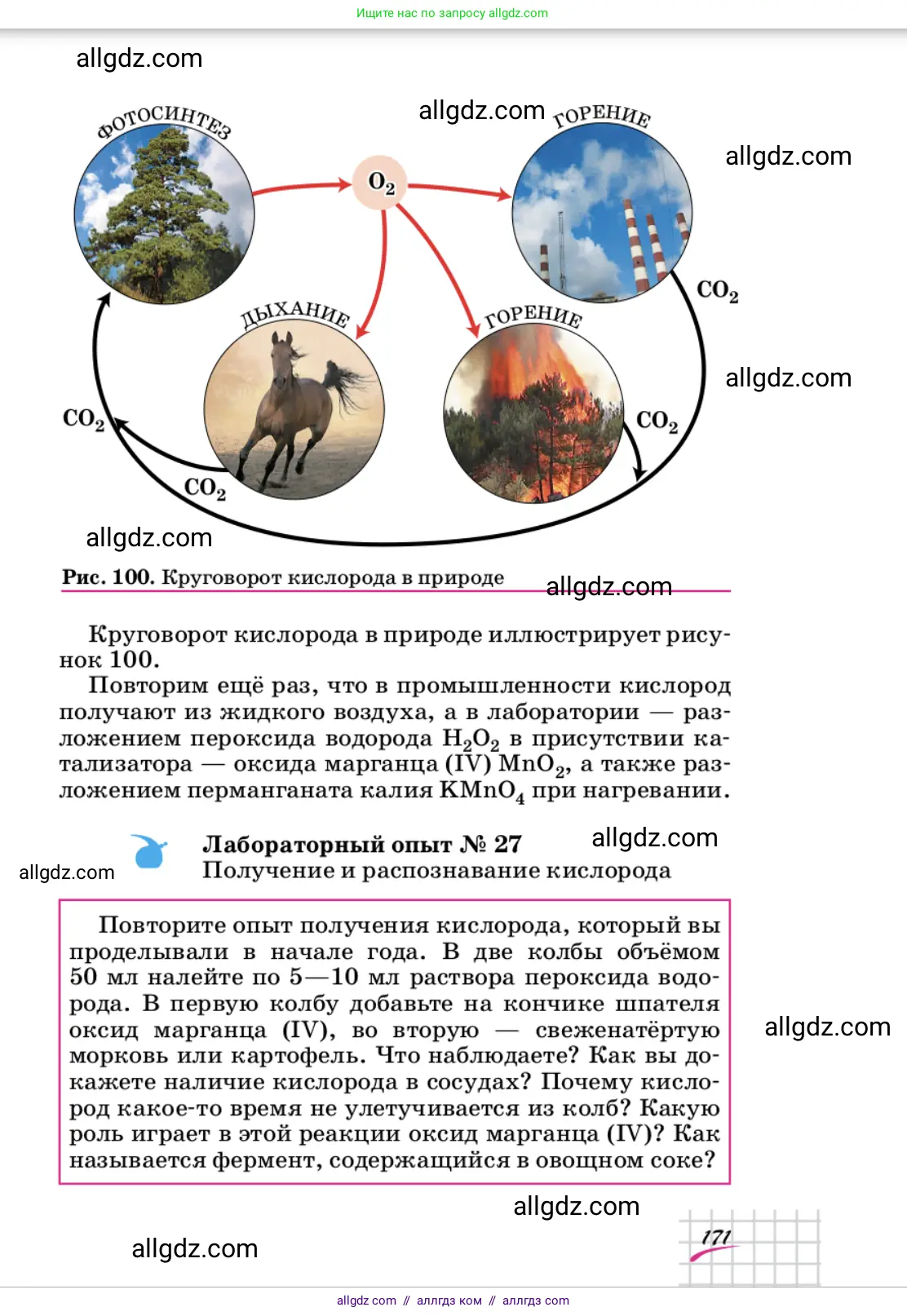 Химия, 9 класс Учебник, автор: Габриелян Олег Саргисович, издательство Просвещение, Москва, 2020, белого цвета, страница 171