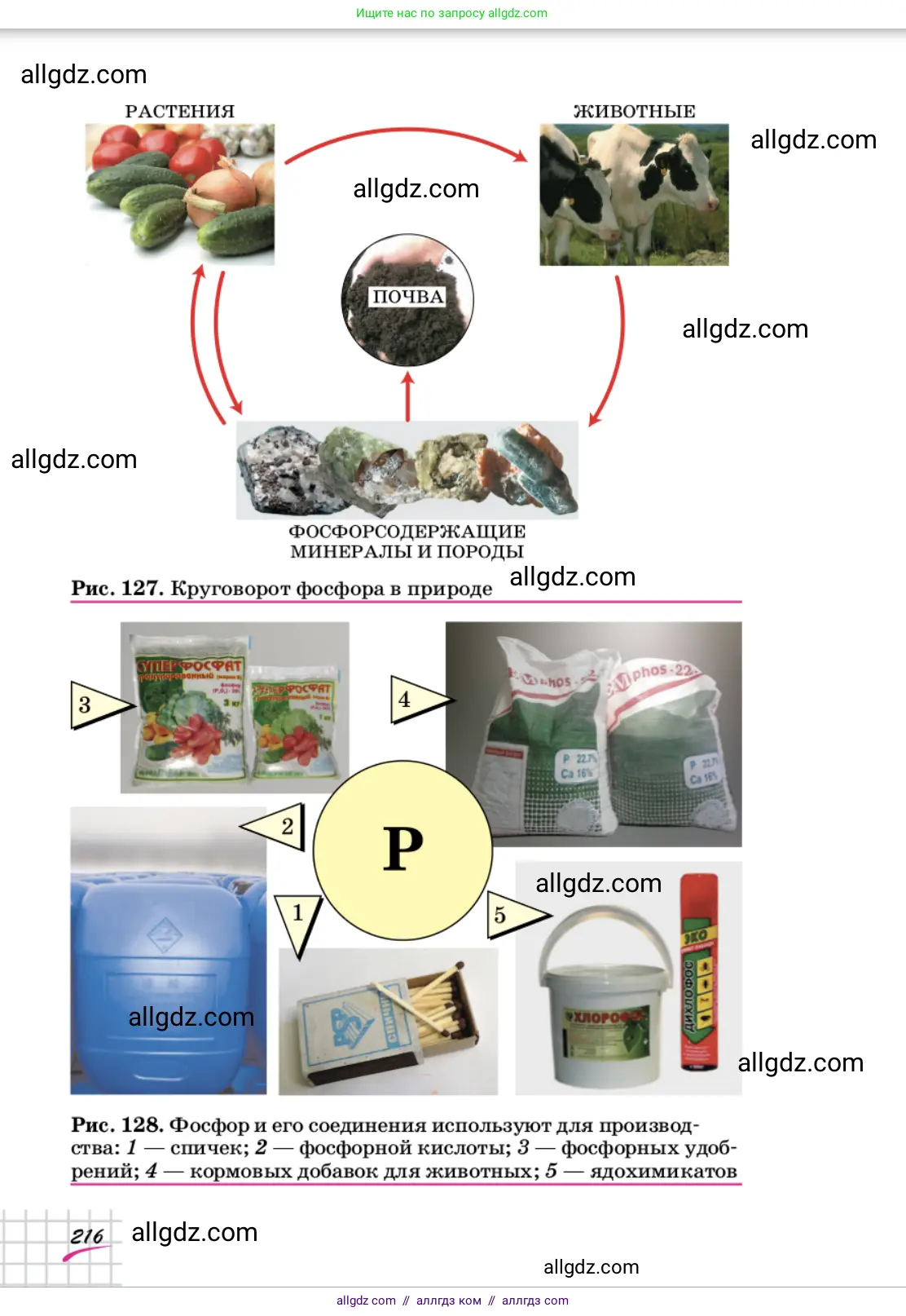 Химия, 9 класс Учебник, автор: Габриелян Олег Саргисович, издательство Просвещение, Москва, 2020, белого цвета, страница 216