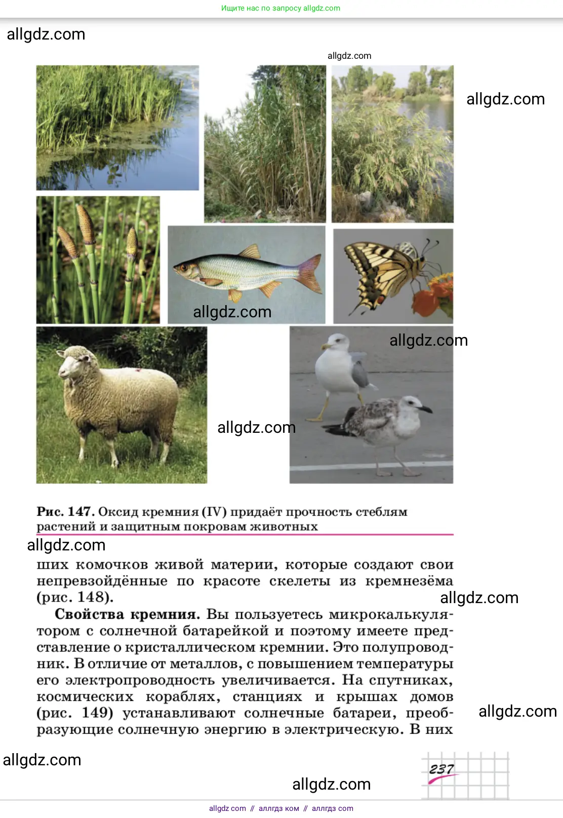 Химия, 9 класс Учебник, автор: Габриелян Олег Саргисович, издательство Просвещение, Москва, 2020, белого цвета, страница 237