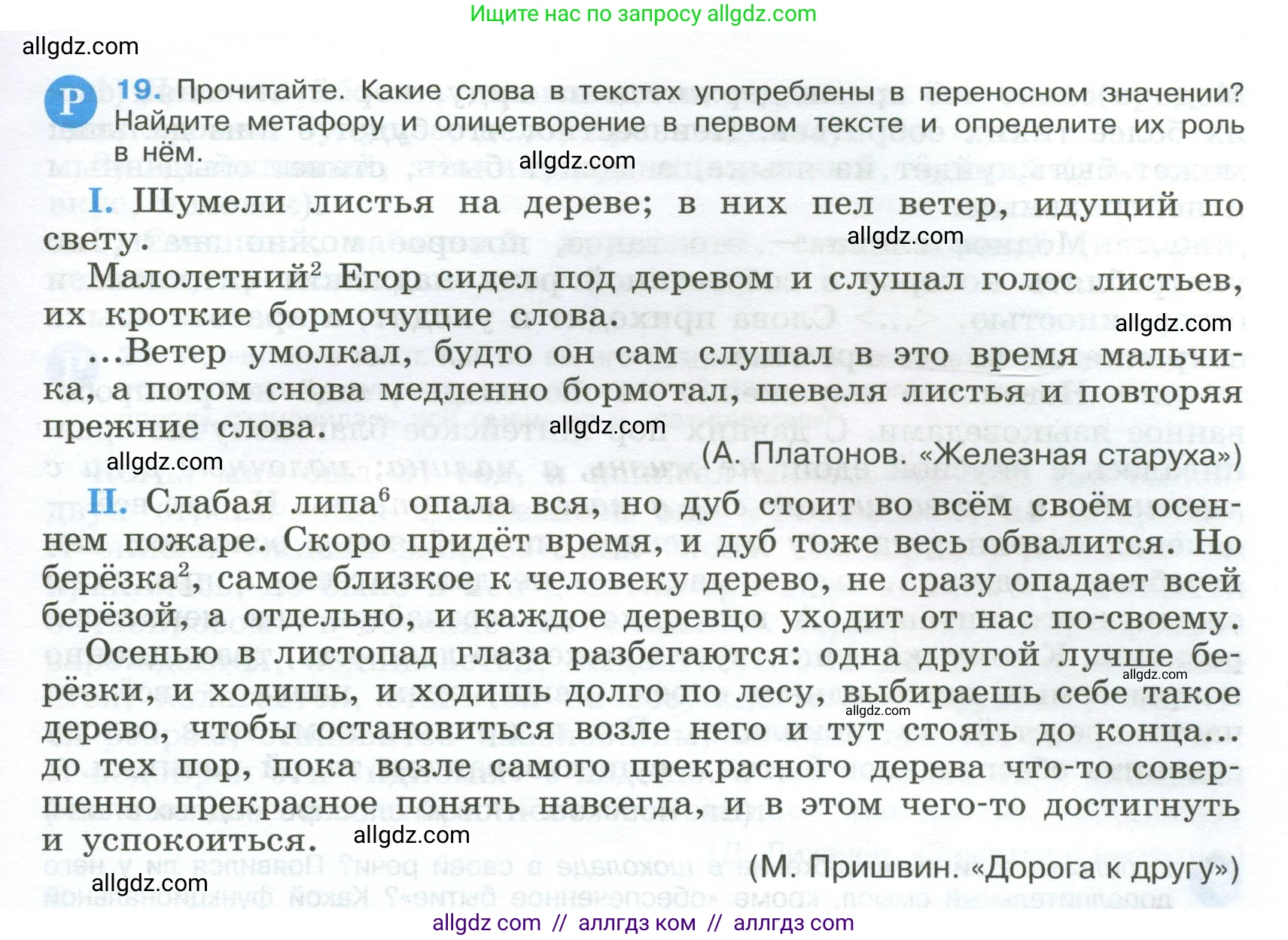 Русский язык, 9 класс Учебник, авторы: Бархударов Степан Григорьевич, Крючков Сергей Ефимович, Максимов Леонард Юрьевич, Чешко Лев Антонович, Николина Наталия Анатольевна, Мишина Клара Ивановна, Текучева Ирина Викторовна, Курцева Зоя Ивановна, Комиссарова Людмила Юрьевна, издательство Просвещение, Москва, 2023, салатового цвета, страница 13, номер 19, Условие 2024