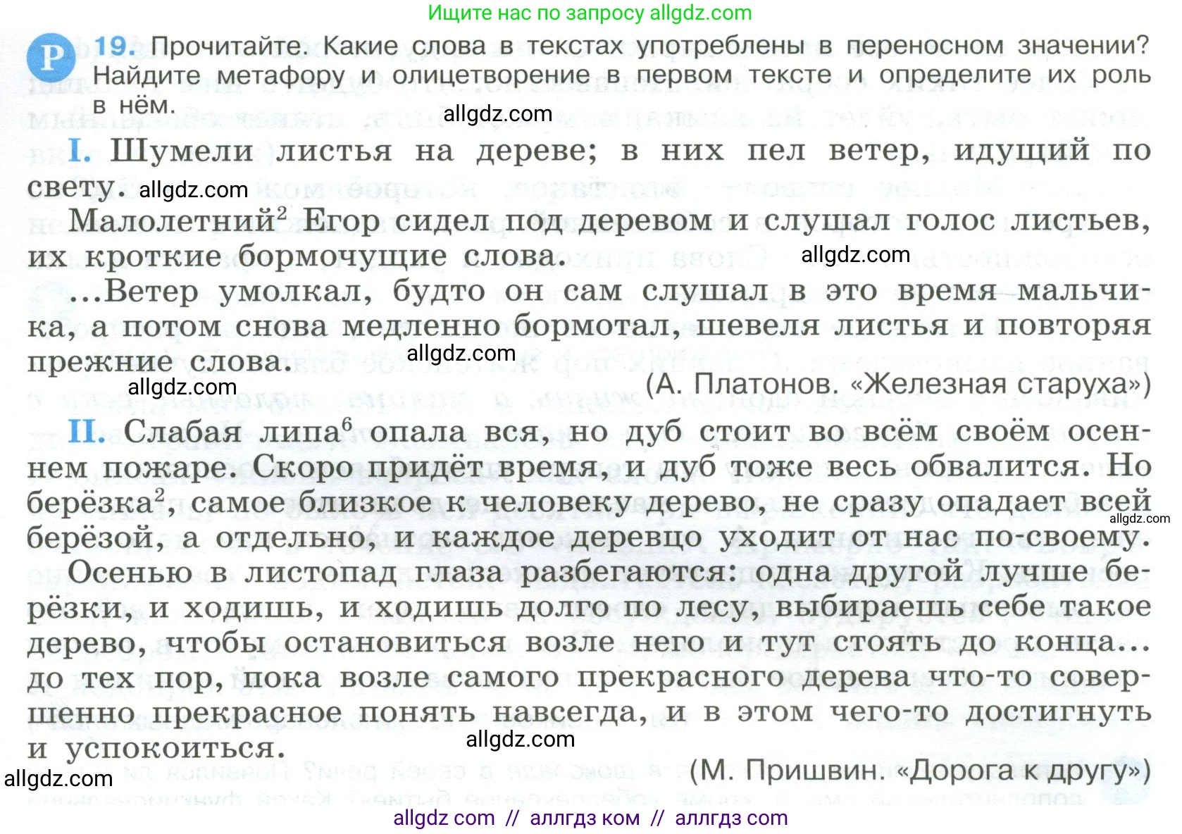 Русский язык, 9 класс Учебник, авторы: Бархударов Степан Григорьевич, Крючков Сергей Ефимович, Максимов Леонард Юрьевич, Чешко Лев Антонович, Николина Наталия Анатольевна, Мишина Клара Ивановна, Текучева Ирина Викторовна, Курцева Зоя Ивановна, Комиссарова Людмила Юрьевна, издательство Просвещение, Москва, 2023, салатового цвета, страница 13, номер 19, Условие 2023